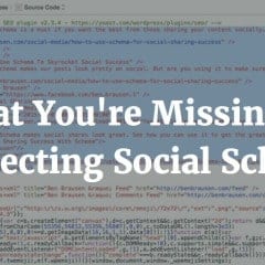 What You’re Missing By Neglecting Social Schema